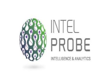 IntelProbe Lisans Yaz Dönemi Stajı