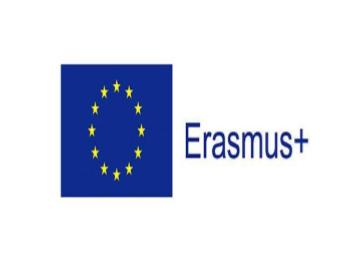 Erasmus Nedir??
